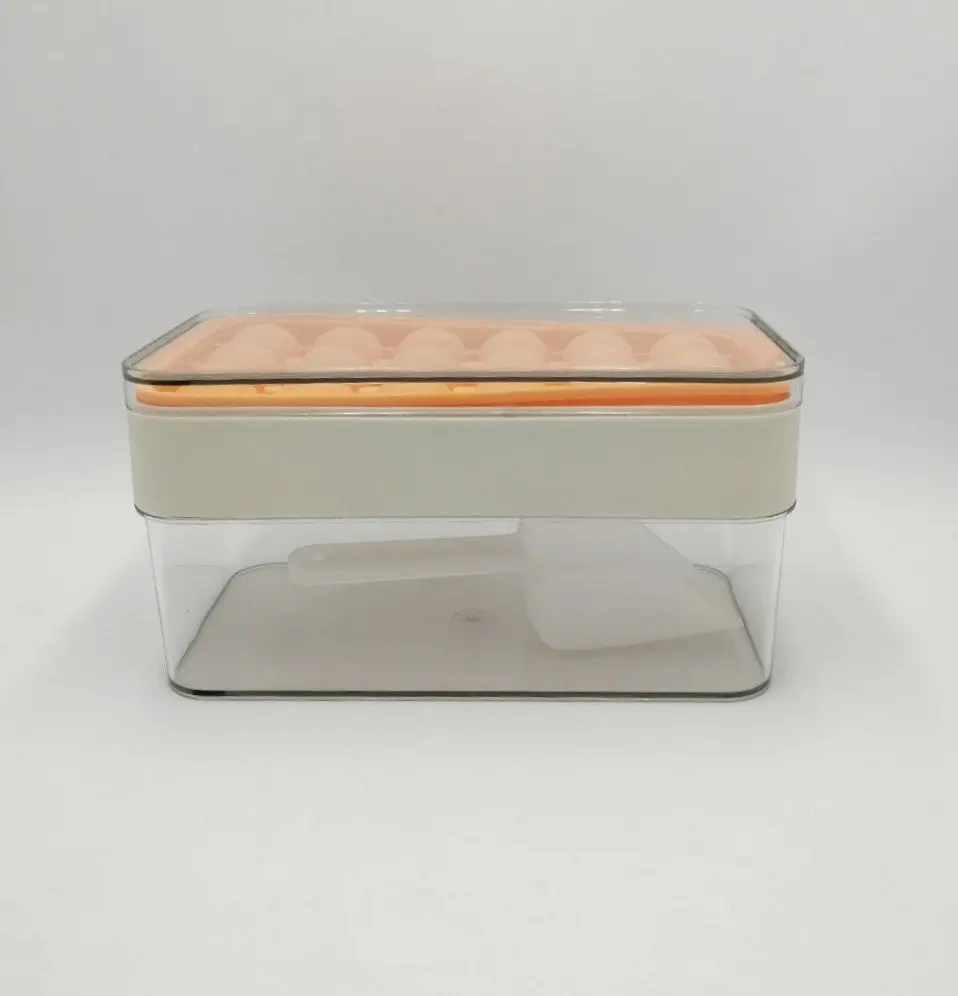 WhatsApp Image 2025-08-10 at 4.45.47 AM.webp