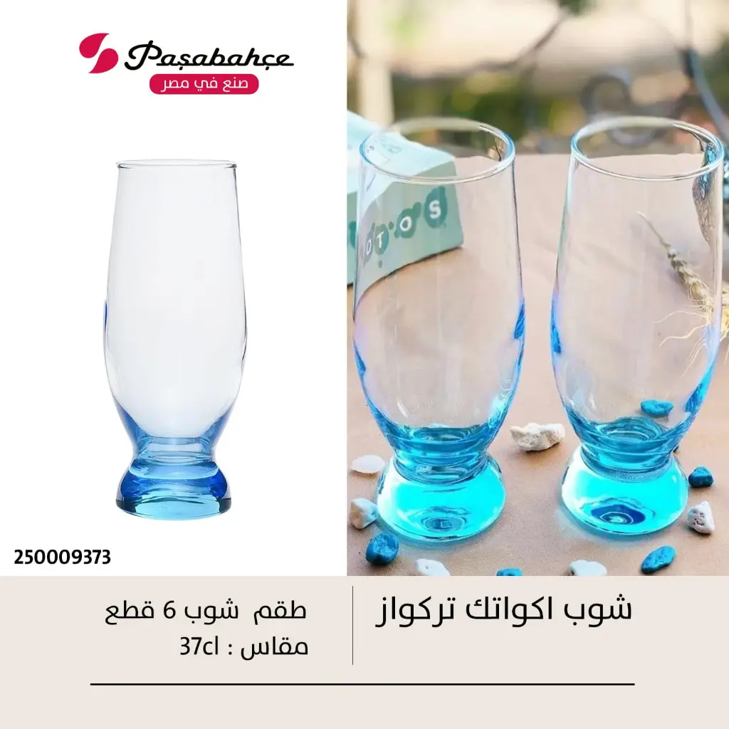 WhatsApp Image 2025-08-11 at 2.47.04 AM.webp