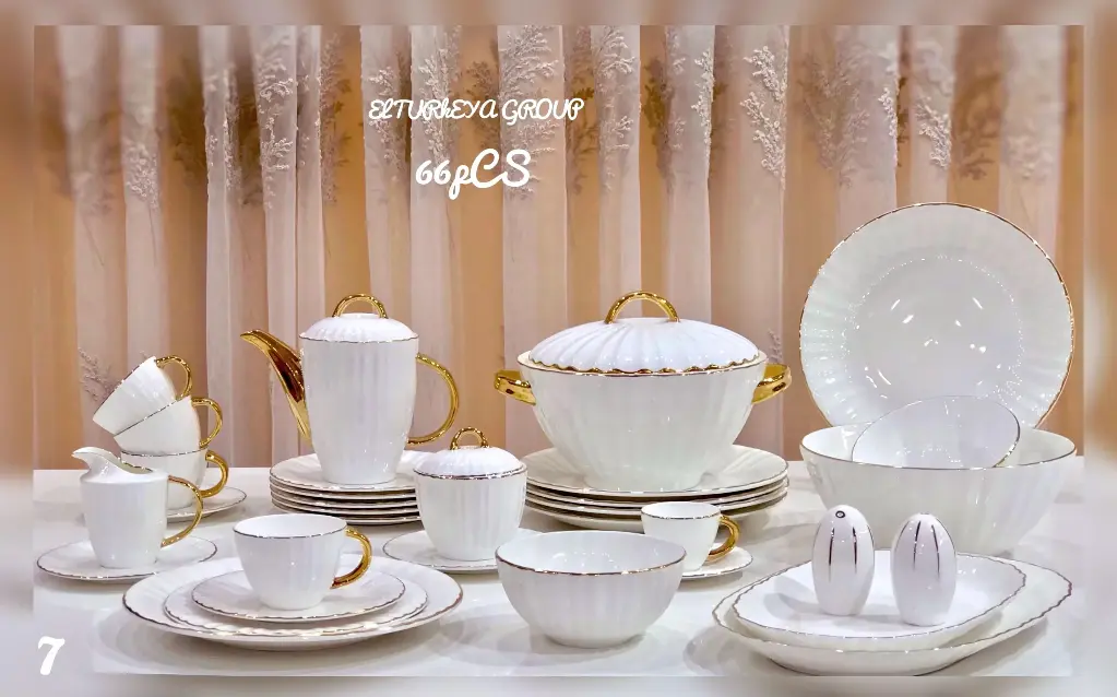 Rogina Bon China dining set 7