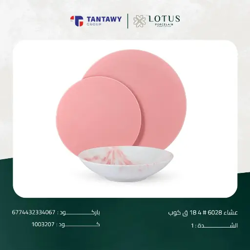 [222134] Dinner set 18 pieces 6028 #5