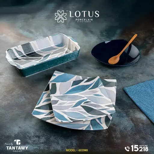 Dinner set 19 pieces 6039